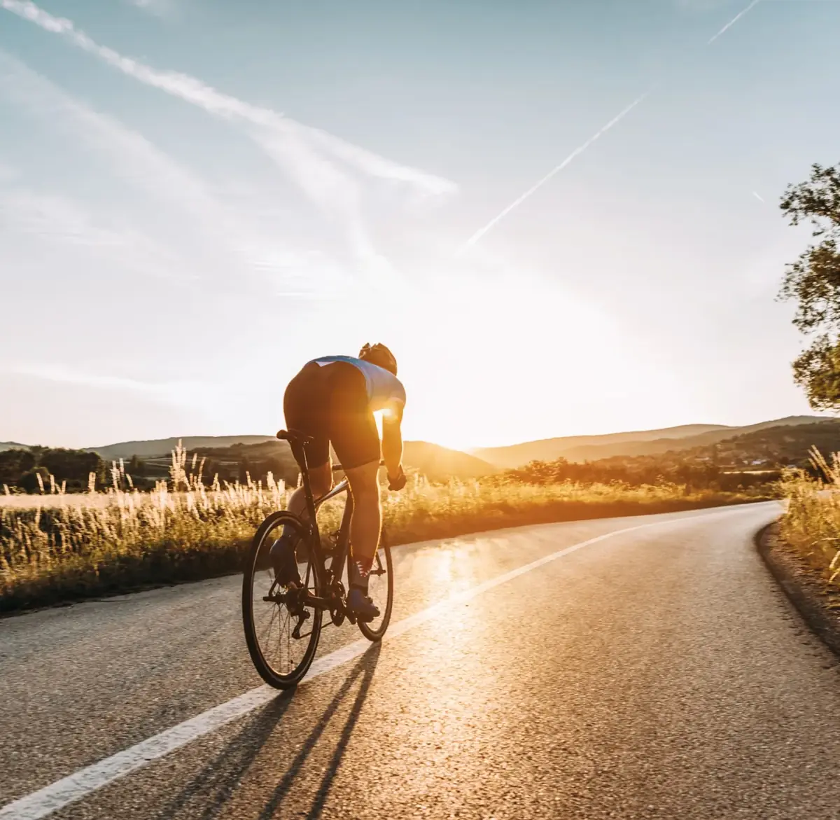 Case Study BIKE&CO