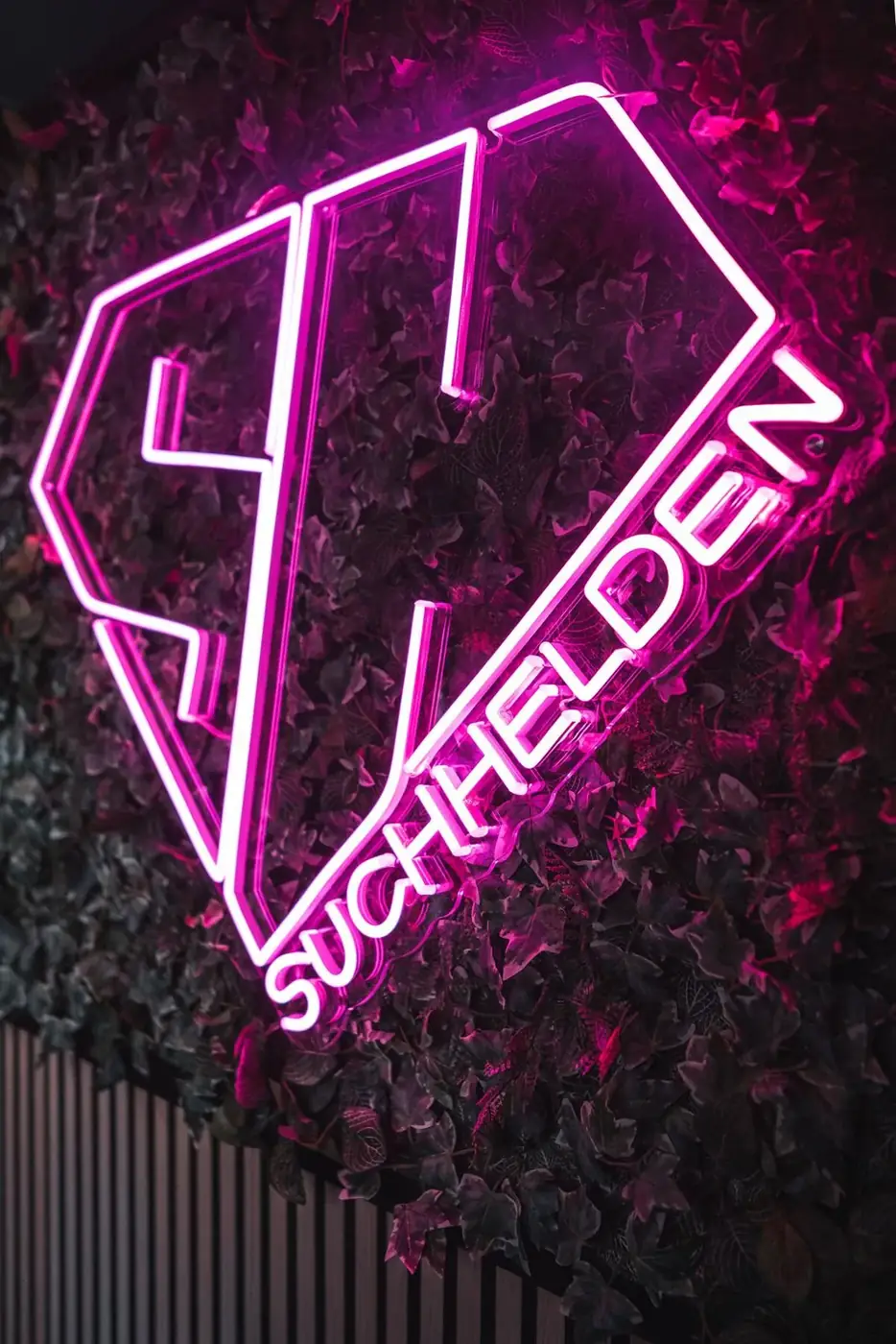Pinkes SH-Neonlogo auf der Pflanzenwand im Suchhelden-Büro in Osnabrück Pinkes SH-Neonlogo auf der Pflanzenwand im Suchhelden-Büro in Osnabrück