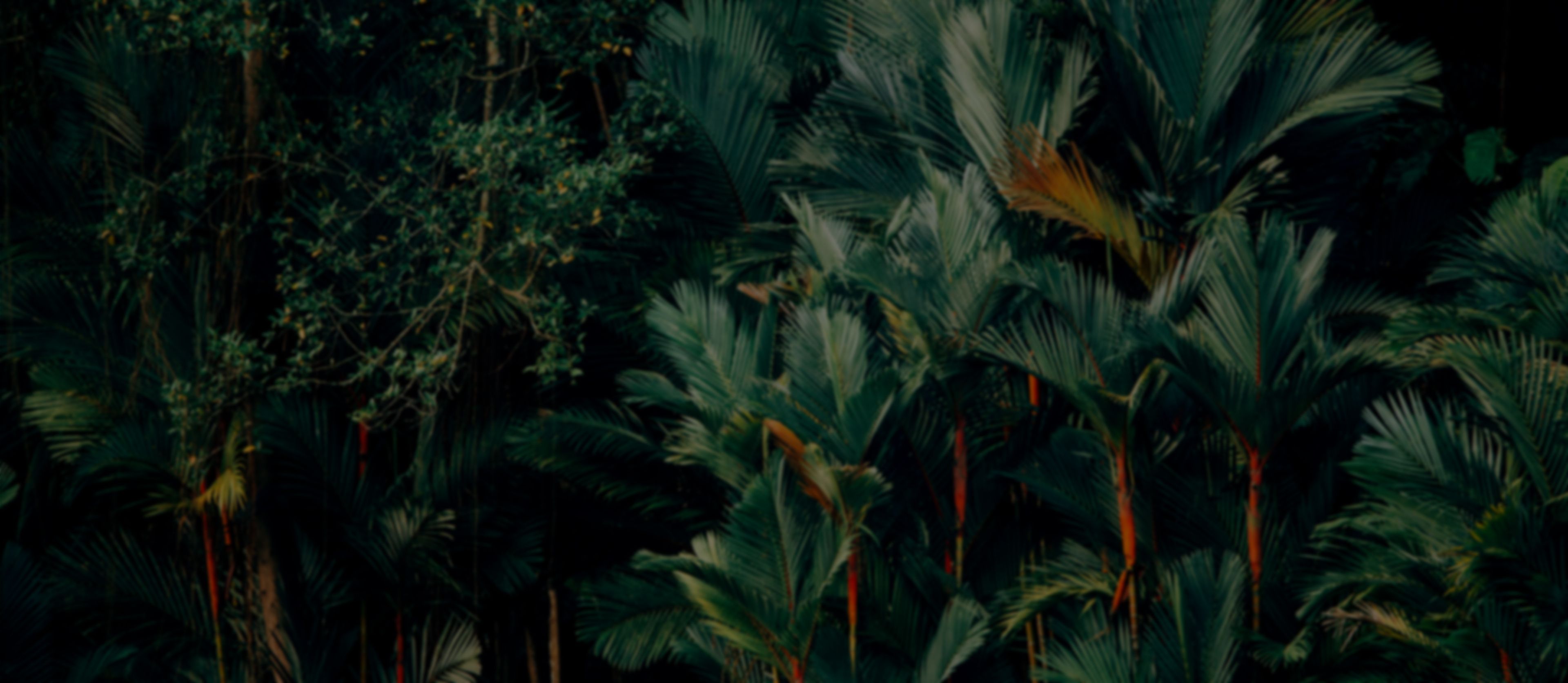slide background